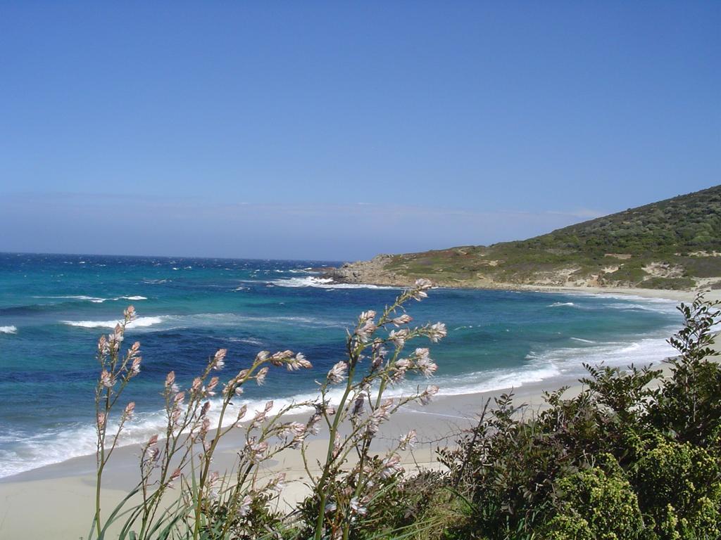Roc E Mare Apartment
